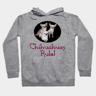 Chihuahuas Rule! Hoodie